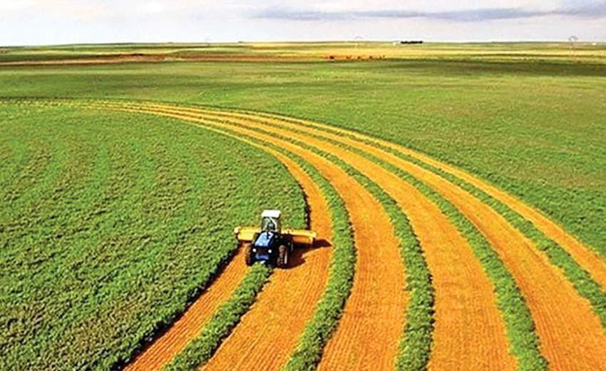 کدام شرکت‌ها در جهان از نظر محصولات کشاورزی برتر هستند؟